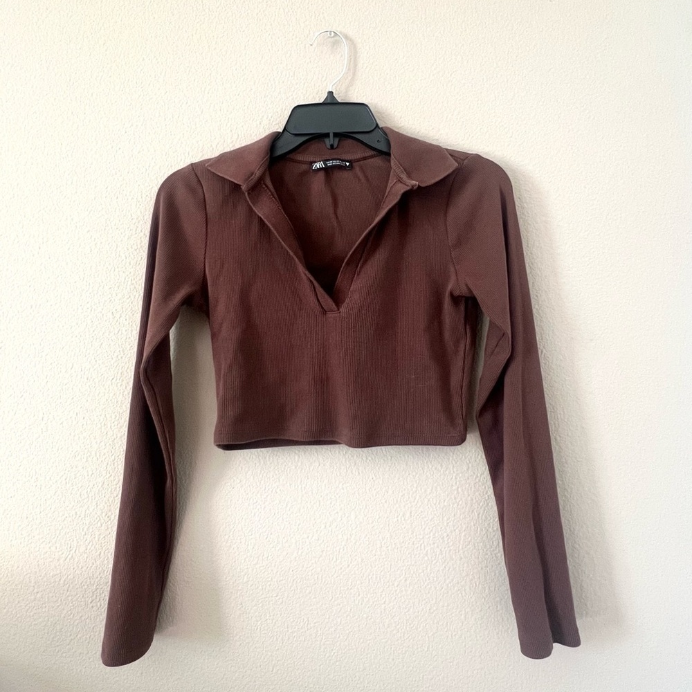 Zara Brown Long Sleeve Crop Top